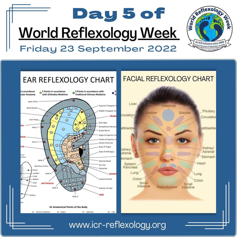 image of ear and facial reflexology charts to celebrate world reflexology week 2022